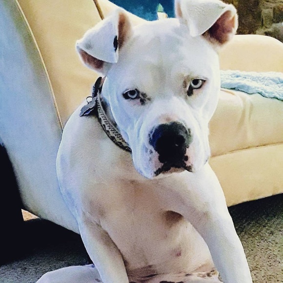 Meet your Posher, Michele - Picture 4 of 10